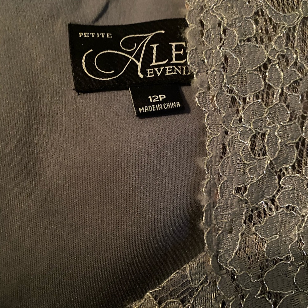 Alex Evenings Dress